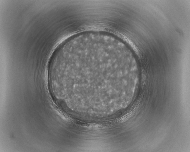 X0000115401035200912011200