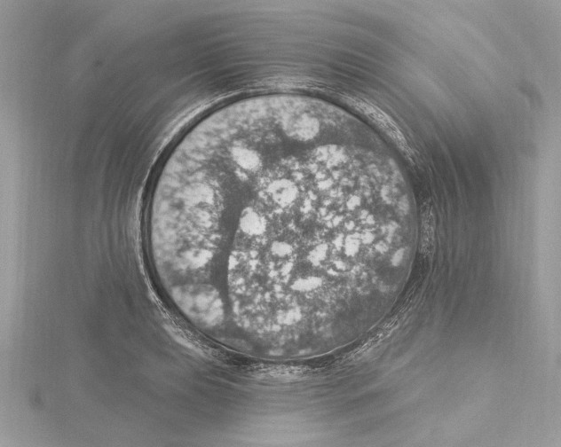 X0000115401039200912011200