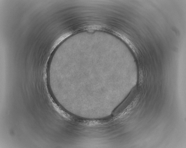 X0000115401042200912011200