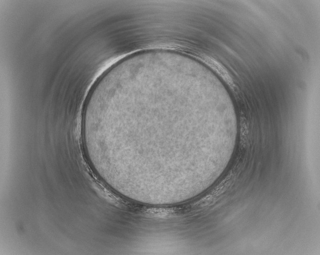 X0000115401044200912011200