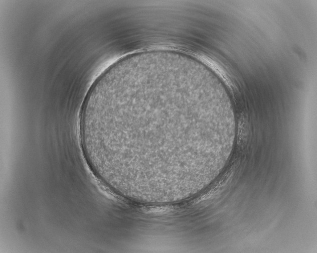 X0000115401047200912011201