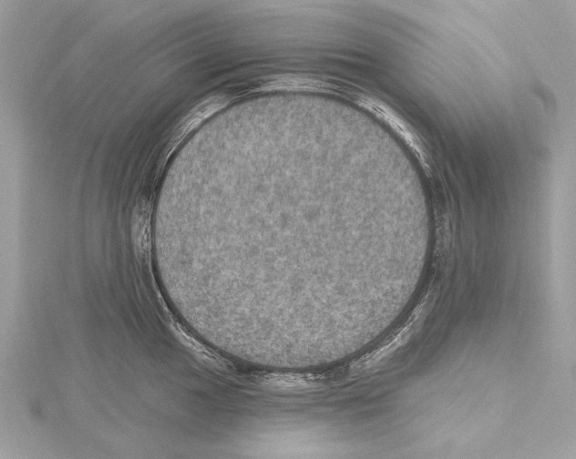 X0000115401049200912011201