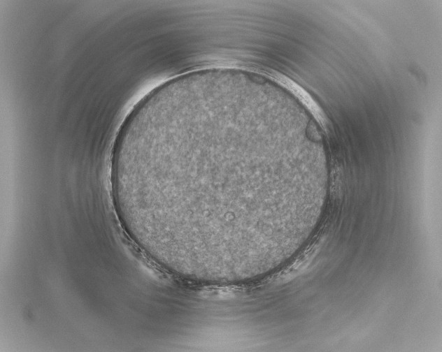 X0000115401051200912011201