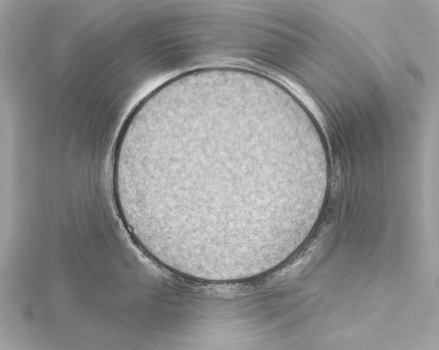 X0000115401053200912011201