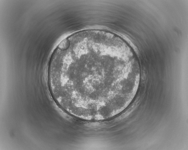 X0000115401054200912011201