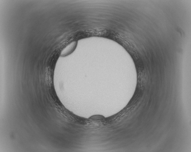 X0000115401058200912011200