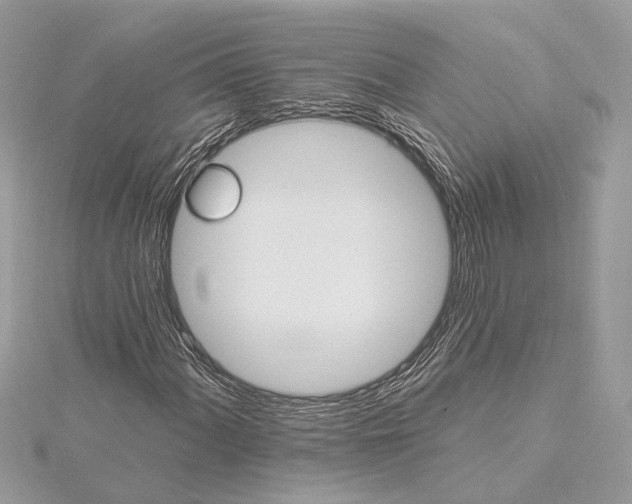 X0000115401060200912011200
