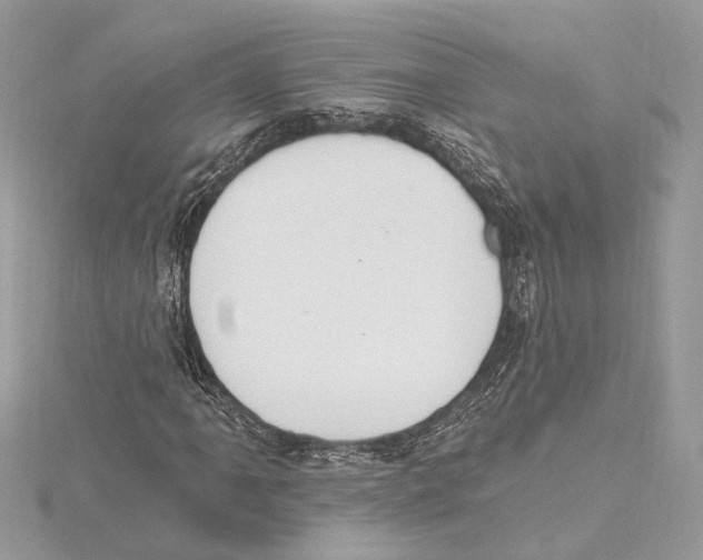 X0000115401061200912011200
