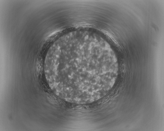 X0000115401063200912011200