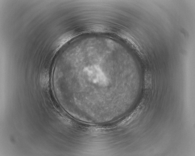 X0000115401065200912011200