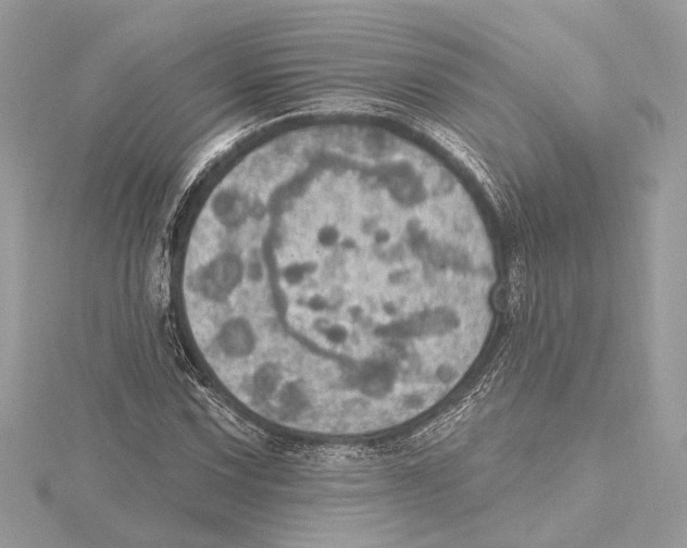 X0000115401067200912011200