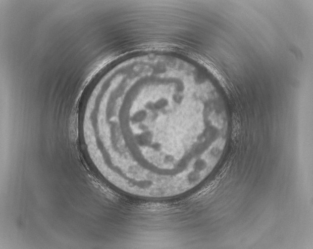 X0000115401075200912011200