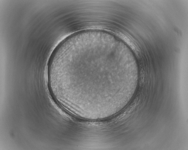 X0000115401084200912011200