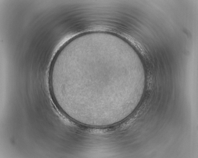 X0000115401086200912011200
