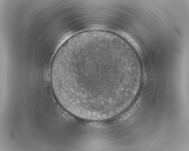 X0000115401097200912011159