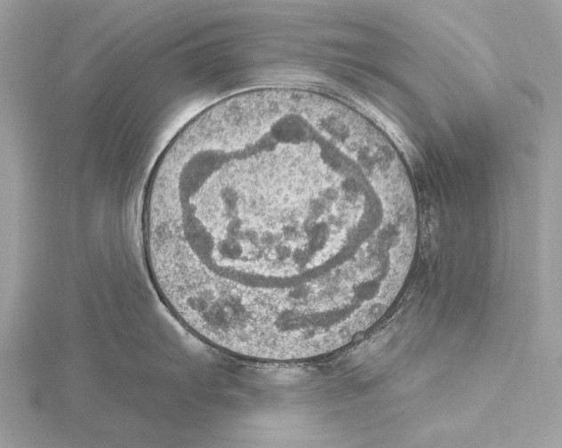X0000115401103200912011159