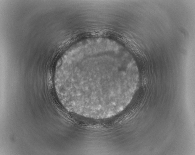 X0000115401106200912011159