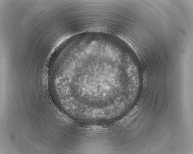 X0000115401115200912011159