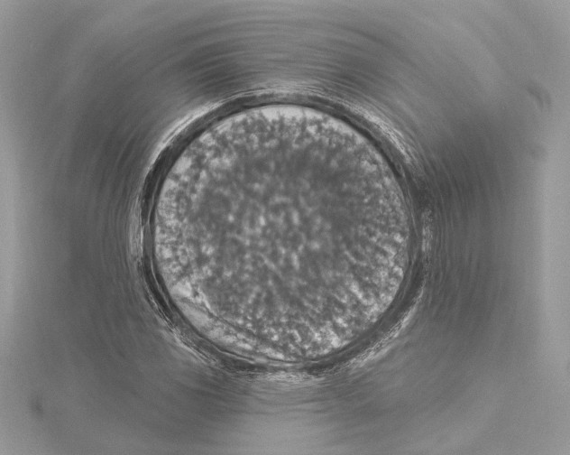 X0000115401117200912011159
