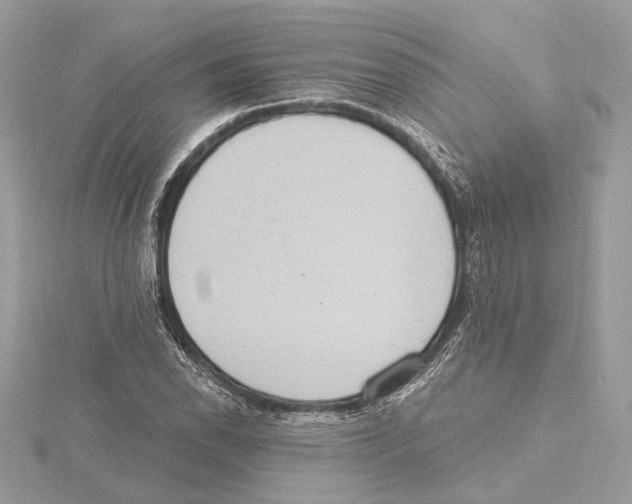 X0000115401118200912011159