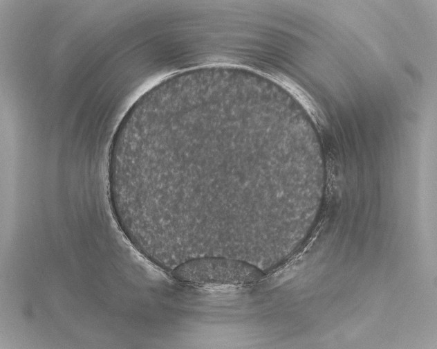 X0000115401142200912011159