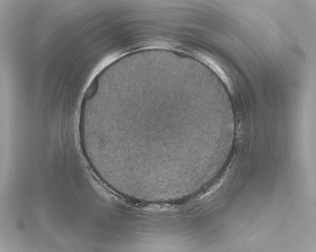 X0000115401146200912011159