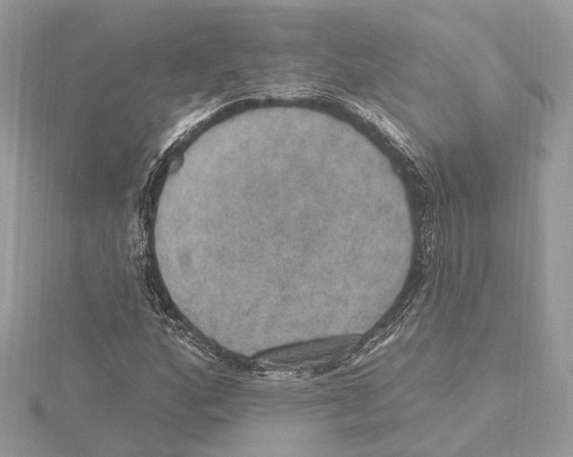 X0000115401160200912011159