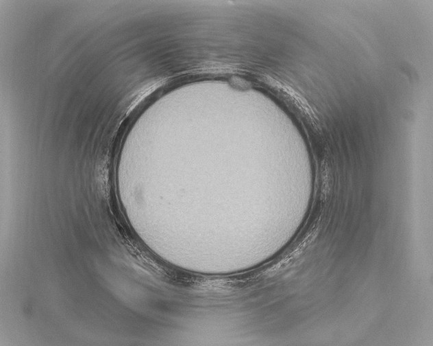 X0000115401162200912011159