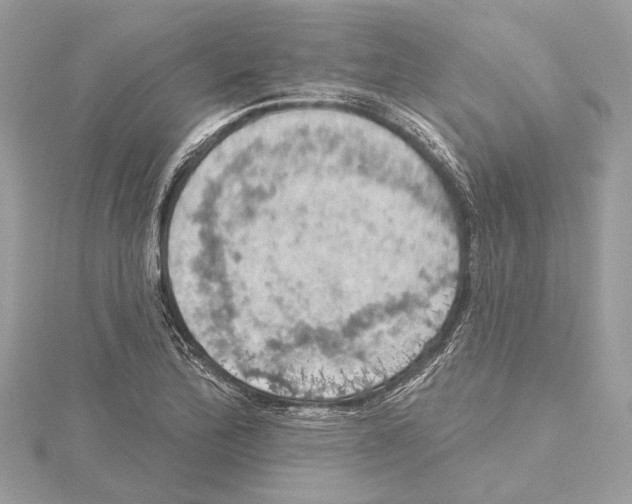 X0000115401172200912011158