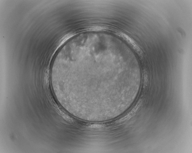 X0000115401178200912011158