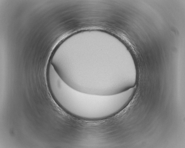 X0000115401181200912011158