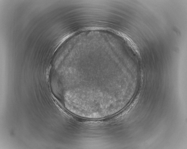 X0000115401185200912011158