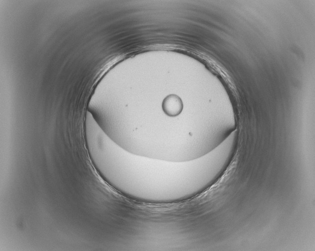 X0000115401193200912011158