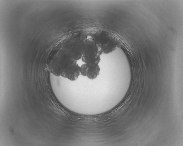 X0000115401204200912011158