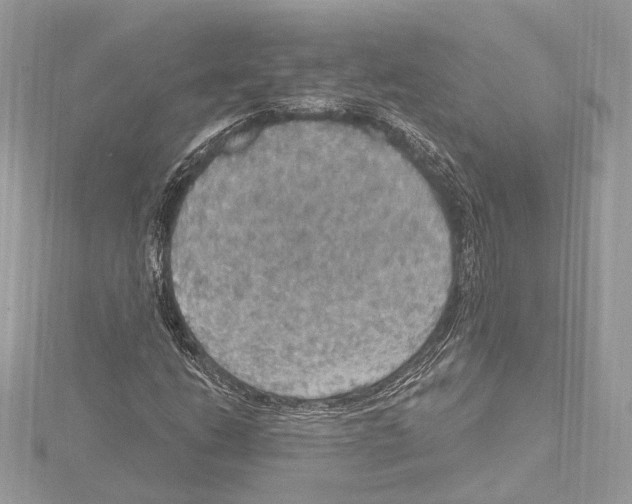 X0000115401206200912011158