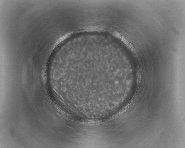 X0000115401213200912011158