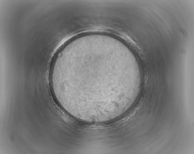 X0000115401216200912011158