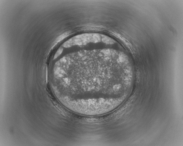 X0000115401219200912011158