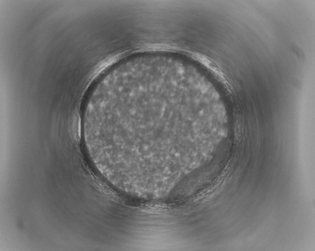 X0000115401221200912011158