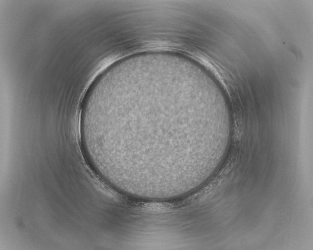X0000115401227200912011158