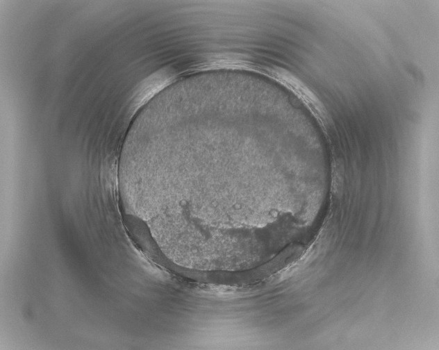 X0000115401241200912011158