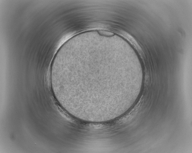 X0000115401242200912011158