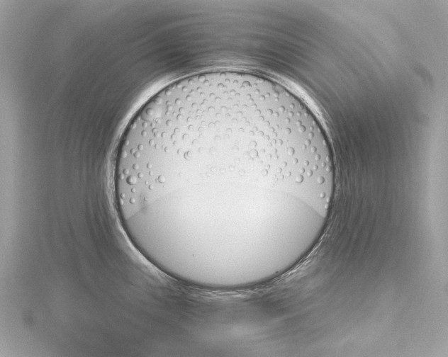 X0000115401243200912011158
