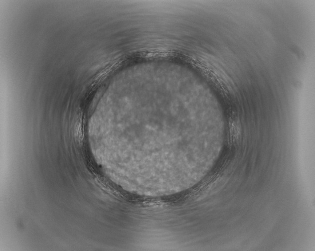 X0000115401250200912011157