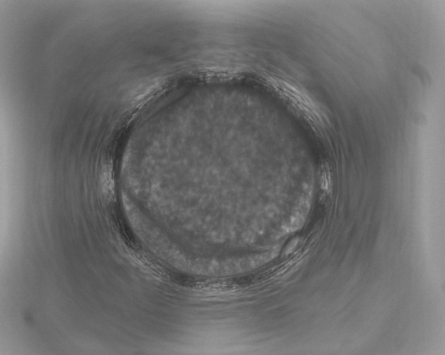 X0000115401252200912011157