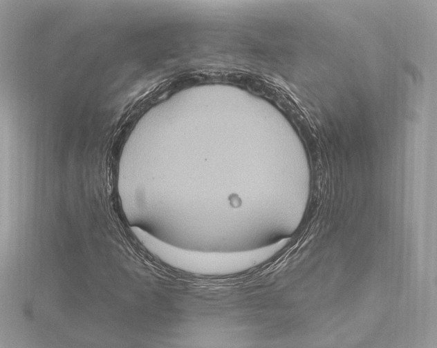 X0000115401253200912011157