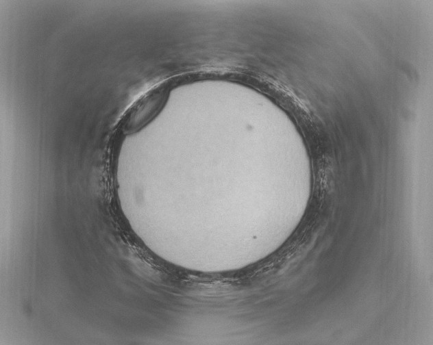 X0000115401256200912011157