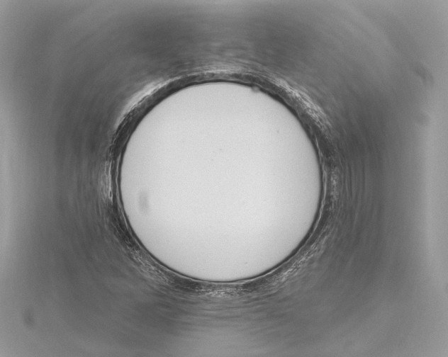 X0000115401262200912011157