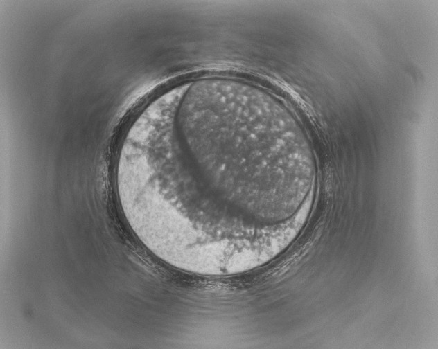X0000115401263200912011157