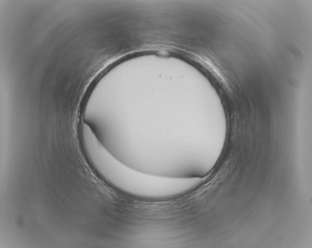 X0000115401268200912011157